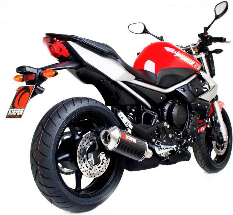 Scorpion Mufflers Factory Oval Slip-on Carbon Fibre Sleeve | EYA86CEO