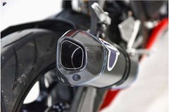 Termignoni COLLECTOR+SILENCER, TITANIUM, CARBON, Racing, Without Catalyzer | H17109400TCC