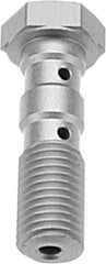 TRW DOUBLE BANJO BOLT SIL M10X1,25 | MCH951A