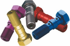 TRW DOUBLE BANJO BOLT SIL M10X1,25 | MCH951A