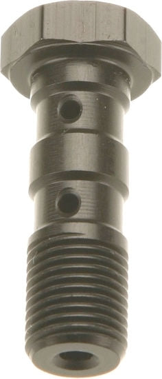 TRW DOUBLE BANJO BOLT BLK M10X1,25 | MCH951S