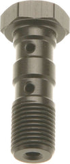 TRW DOUBLE BANJO BOLT BLK M10X1,25 | MCH951S