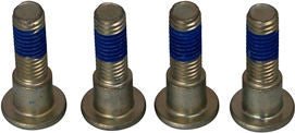 TRW BRAKE ROTOR BOLTS | MSS132-4