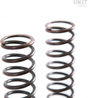 Unit Garage Front suspension springs Triumph (2000-2012) | 08798-90