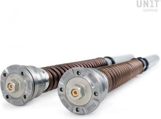 Unit Garage Cartridge fork Ohlins NIX 30 R 1200 R (2015-2018) & R 1250 R (2019 until now) | FGK236