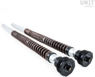 Unit Garage Ohlins Fork Cartridges NIX30A Ducati (2017-2020) | FKA109