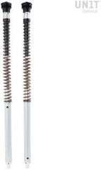 Unit Garage Ohlins Fork Cartridges NIX30A Ducati (2017-2020) | FKA109
