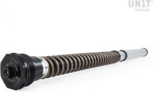 Unit Garage Ohlins Fork Cartridges NIX30S R nineT Roadster (2014-2016) | FKS509