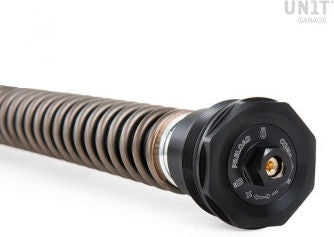 Unit Garage Ohlins Fork Cartridges NIX30S R nineT Roadster (2014-2016) | FKS509