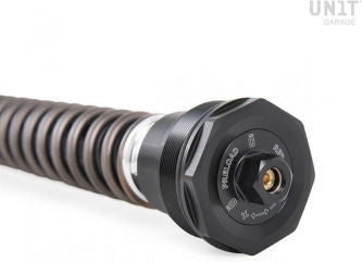 Unit Garage Ohlins Fork Cartridges NIX30S Kawasaki (2018 until now) | FKS511