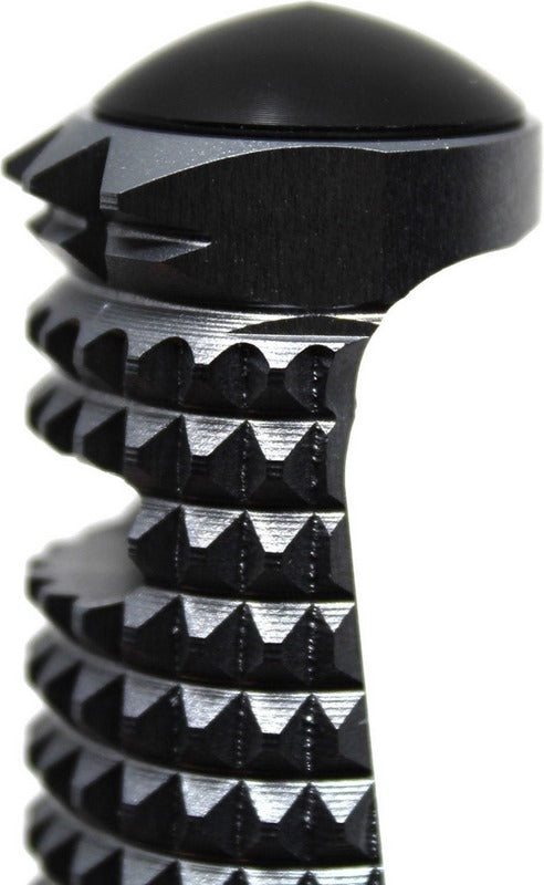Valtermoto Footpeg Type 3.5 2016> Bearings Model (right side) | RP85R 05
