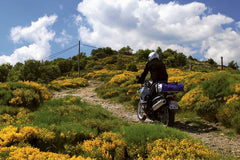 Wunderlich Ergo Windshield - High - Clear | 25460-121