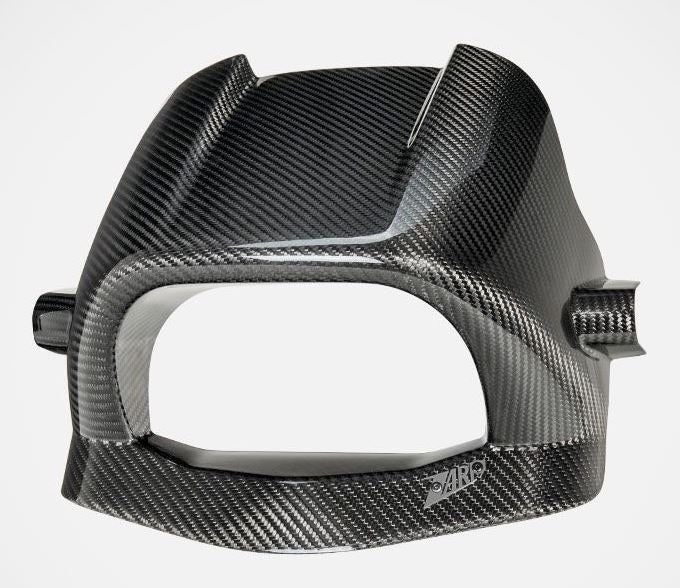 Carbon Headlight Fairing Kit