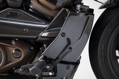 Carbon Radiator Covers