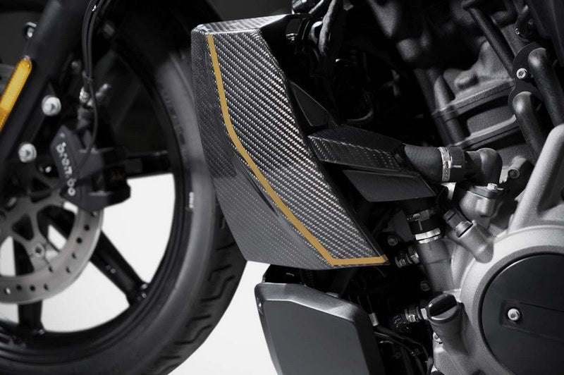 120Th Limited Edition_Carbon Covers Radiator + Alu Billet Radiatorplug Cover