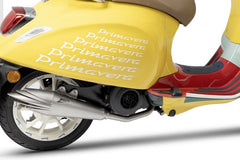 Zard La Dolce Vita-Stainless Racing Full Kit | ZPG004S00SSR