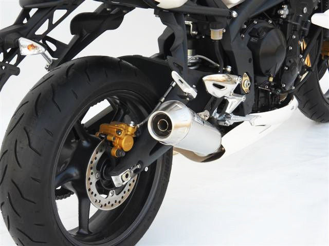 Stainless Steel Racing Slip-On And Carbon End-Cap